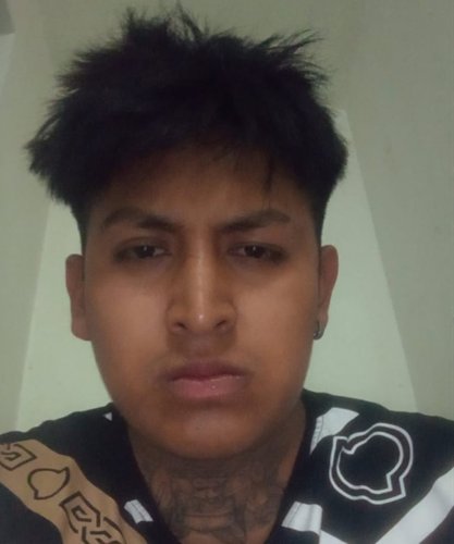 LUIS BRAYAN