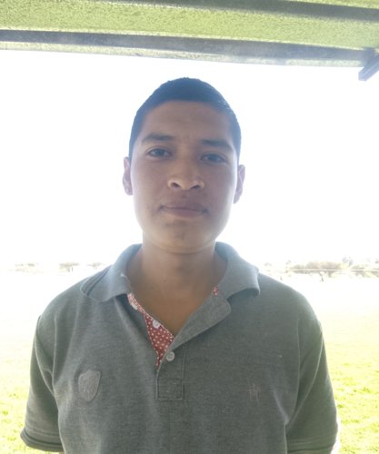 MAURICIO